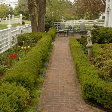Side Garden and Patio